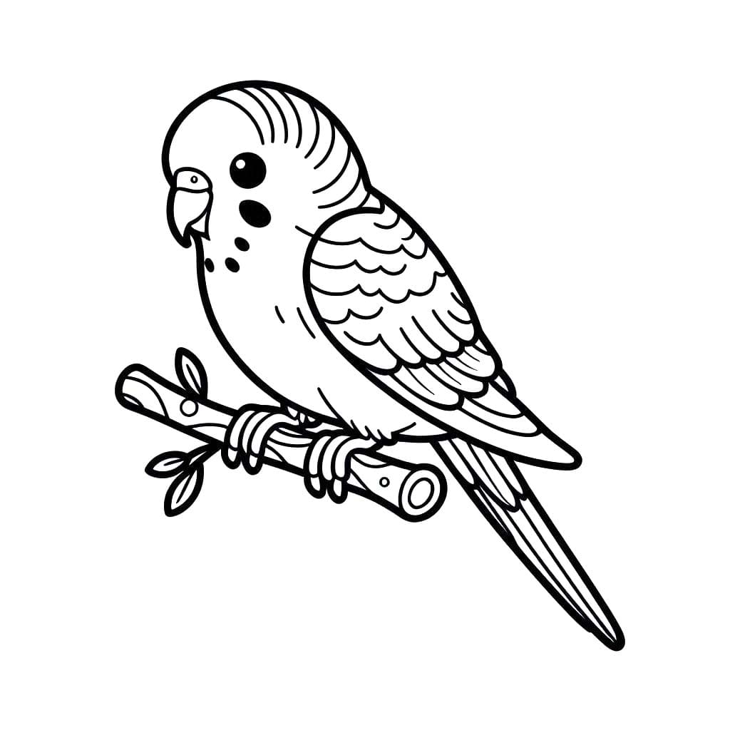 Desenhos de Desenhar Arara simples para colorir