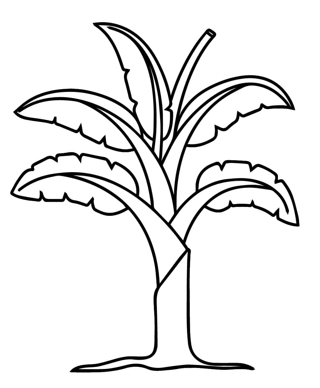 Desenhos de Desenhar Bananeira grátis em crianças para colorir