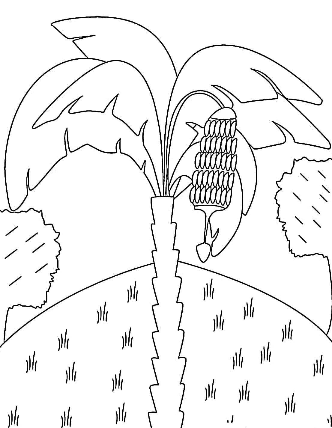 Desenhos de Desenhar Bananeira imprimir em crianças para colorir