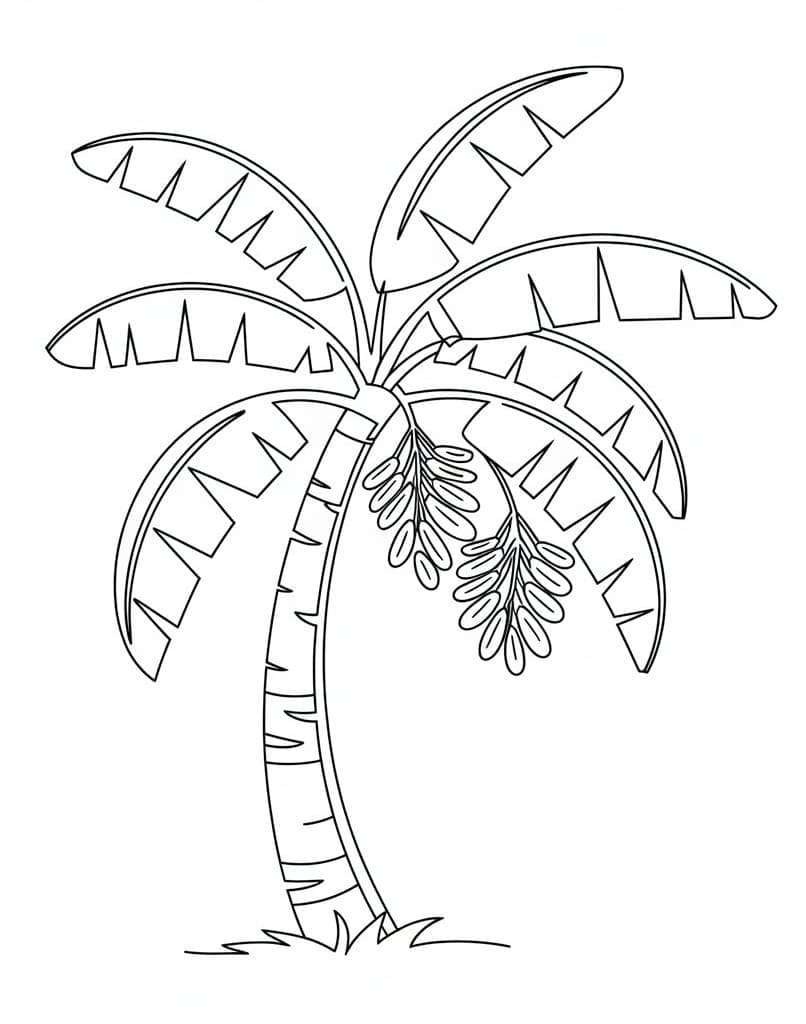 Desenhos de Desenhar Bananeira simples para colorir