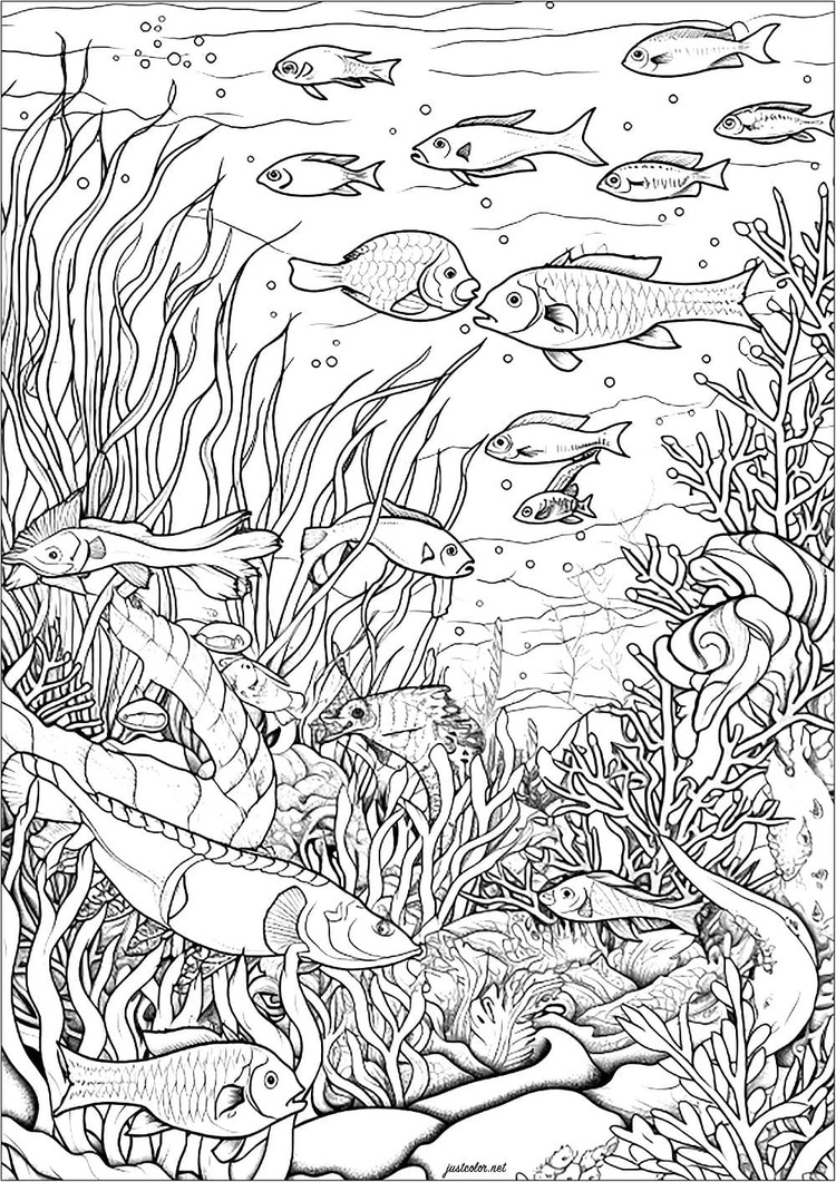 Desenhos de Desenhar Fundo do Mar grátis para crianças para colorir