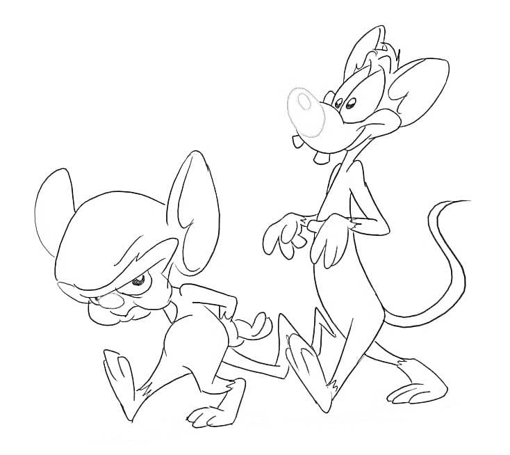 Desenhos de Desenhar Pinky e Cérebro básico para colorir