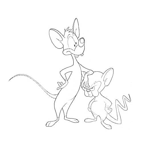Desenhos de Desenhar Pinky e Cérebro fácil para colorir