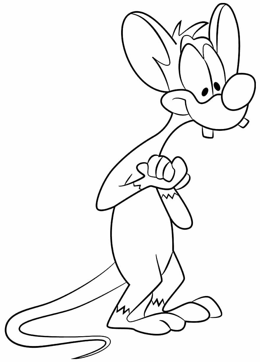 Desenhos de Desenhar Pinky e Cérebro muito simples para colorir