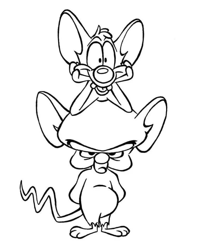 Desenhos de Desenhar Pinky e Cérebro para colorir