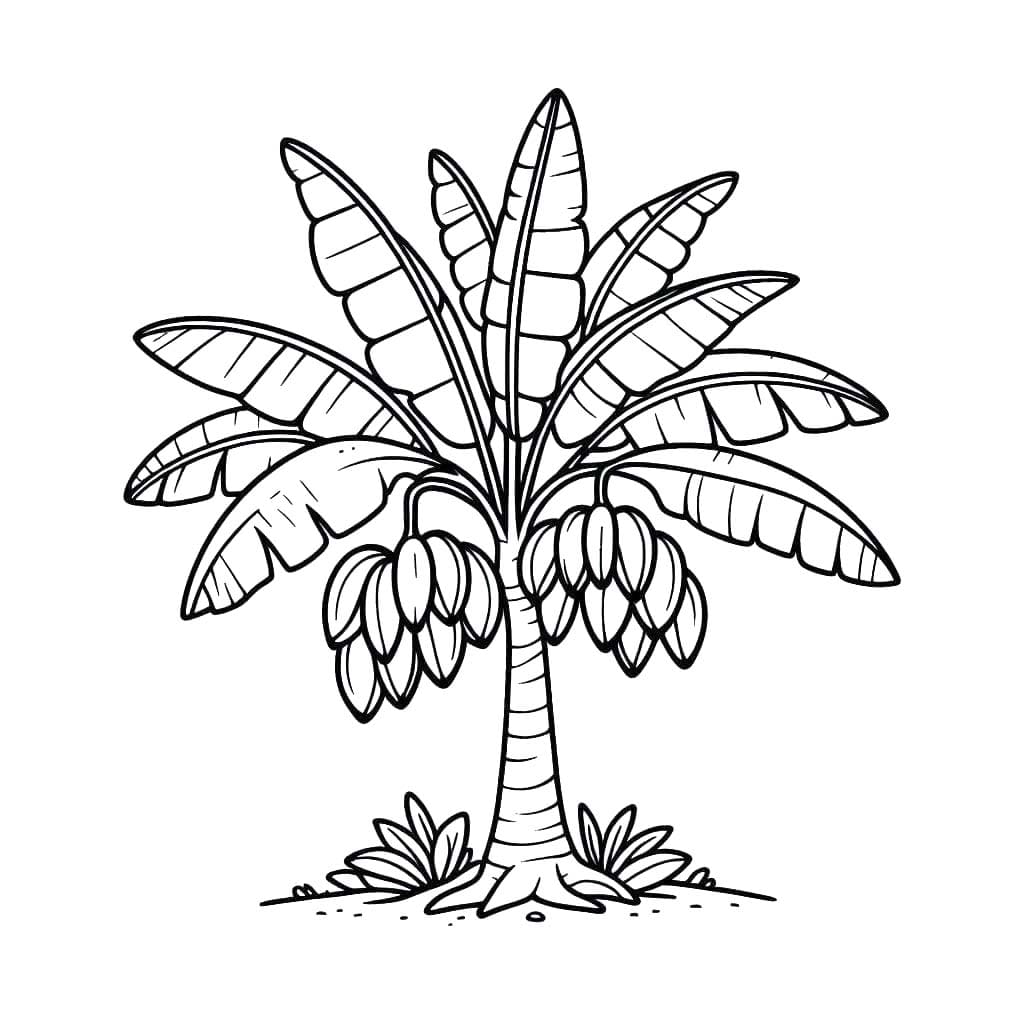 Desenhos de Desenhar bananeira fácil para colorir