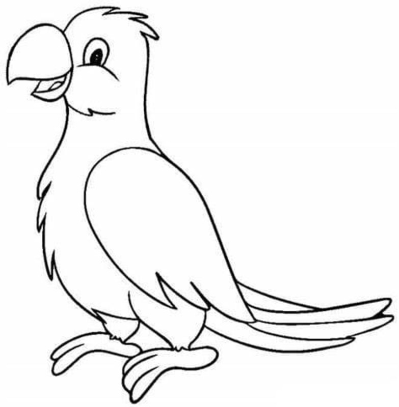 Desenhos de Desenhe Arara grátis para crianças para colorir