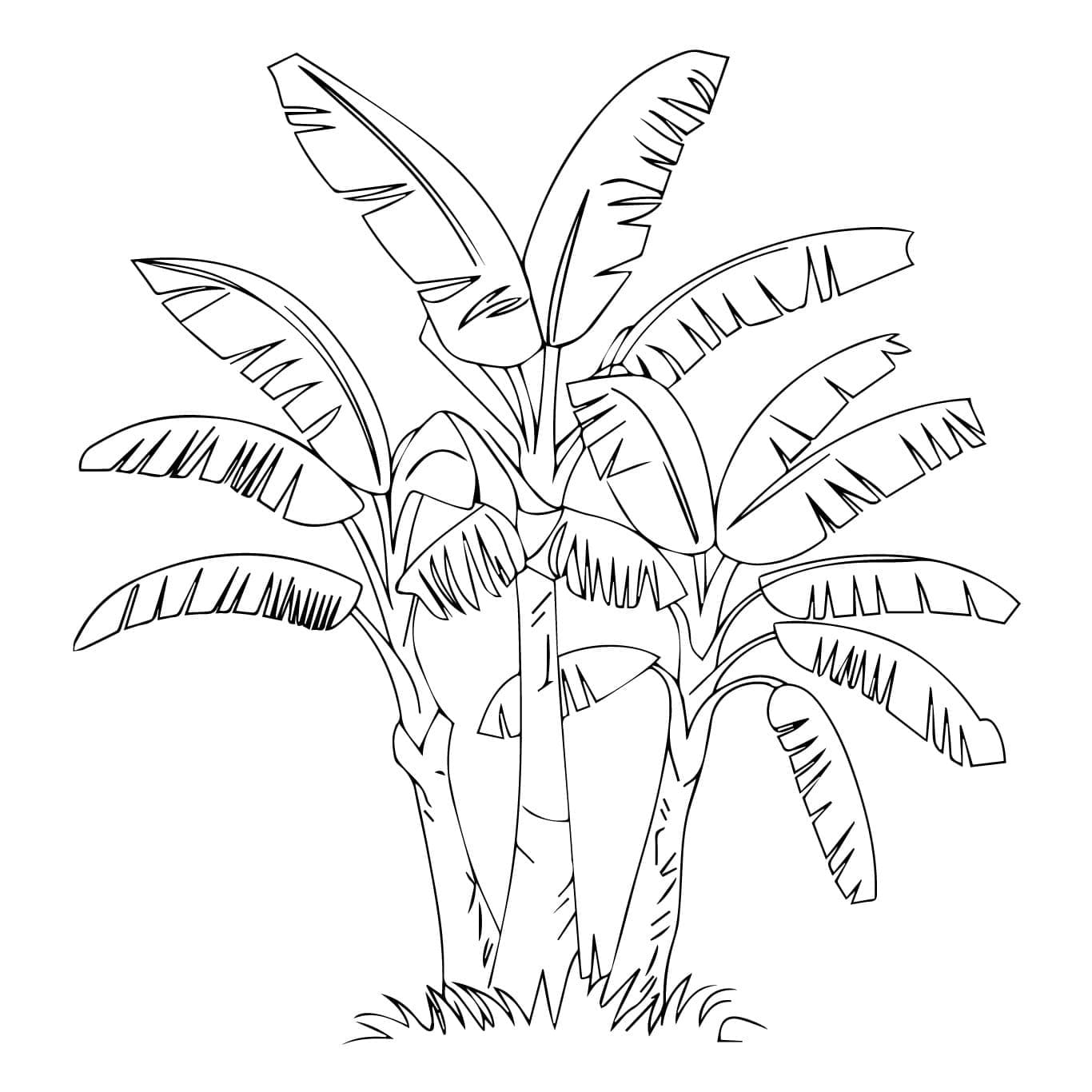 Desenhos de Desenhe Bananeira grátis para crianças para colorir