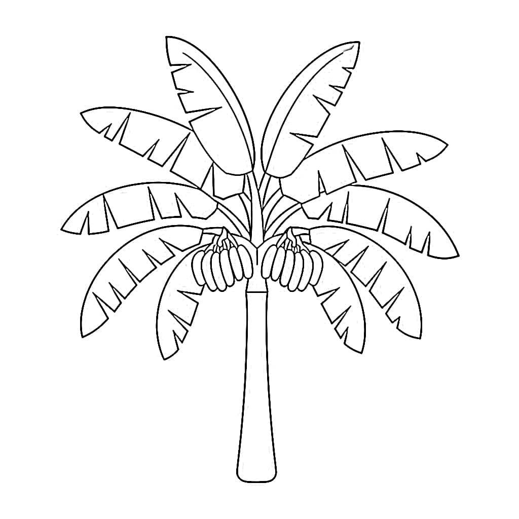 Desenhos de Desenhe Bananeira para crianças para colorir