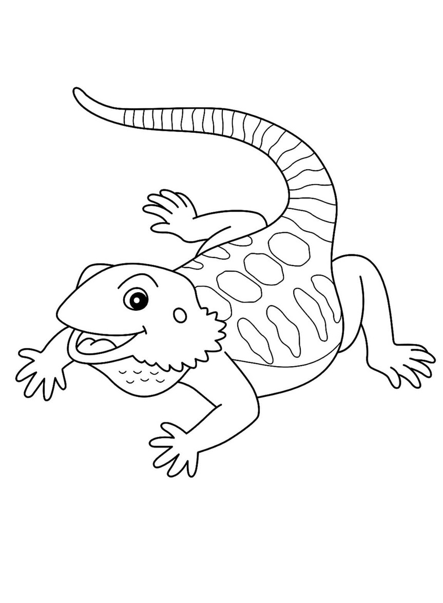 Desenhe lagartos fofos para colorir
