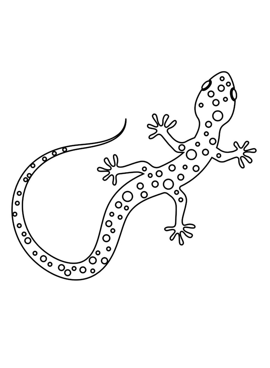 Desenhe lagartos muito fácil para colorir