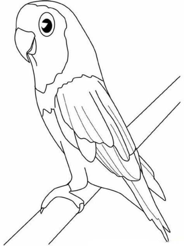 Desenhos de Desenho Arara imprimir para crianças para colorir