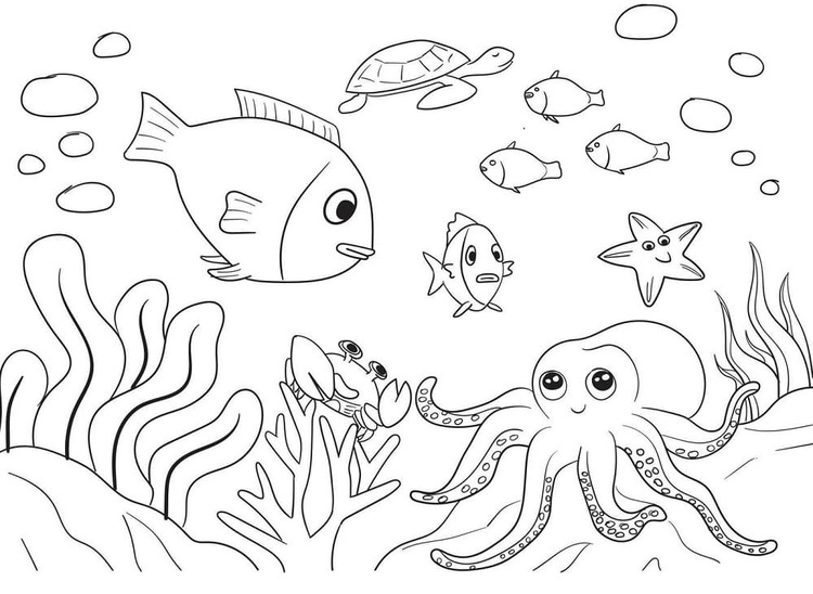 Desenhos de Fundo do Mar 2 para colorir