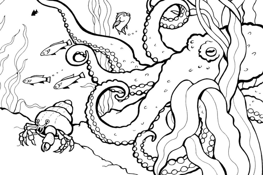 Desenhos de Fundo do Mar 5 para colorir