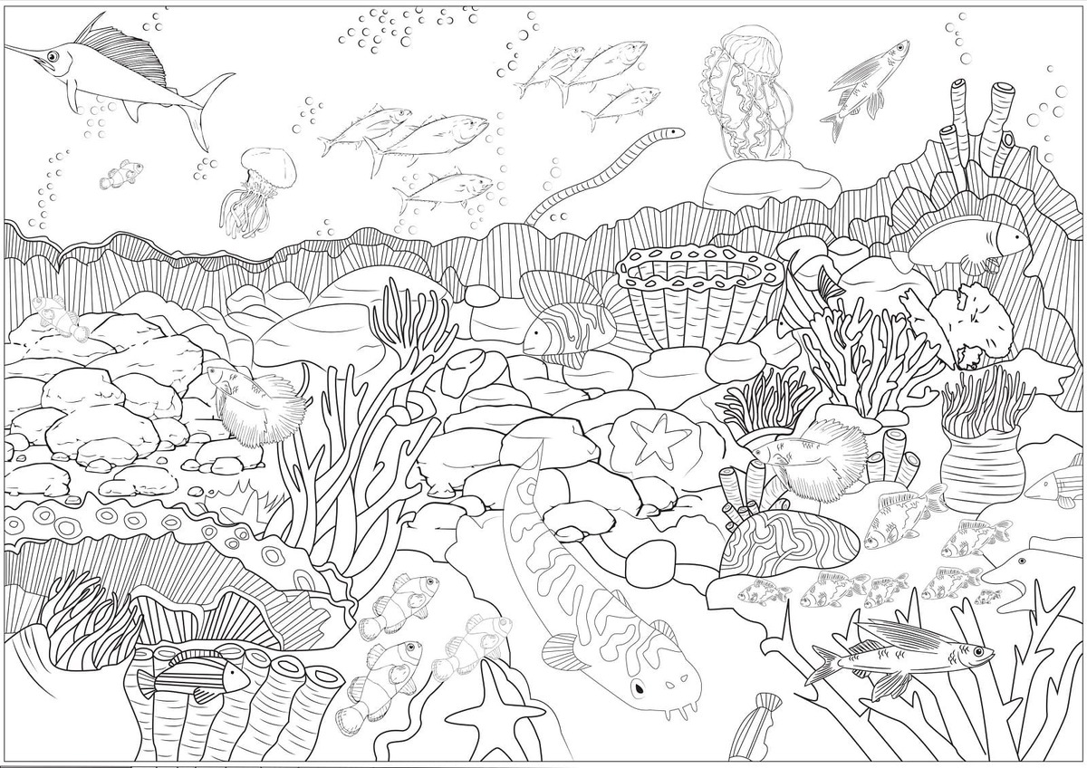 Desenhos de Fundo do Mar 6 para colorir