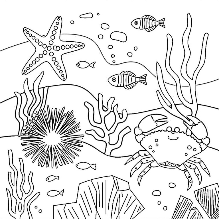 Desenhos de Fundo do Mar grátis para crianças para colorir