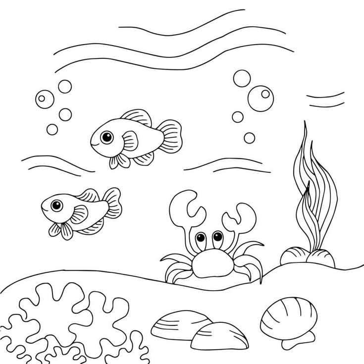 Desenhos de Fundo do Mar gratuita para colorir