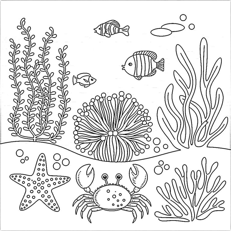 Desenhos de Fundo do Mar para crianças para colorir