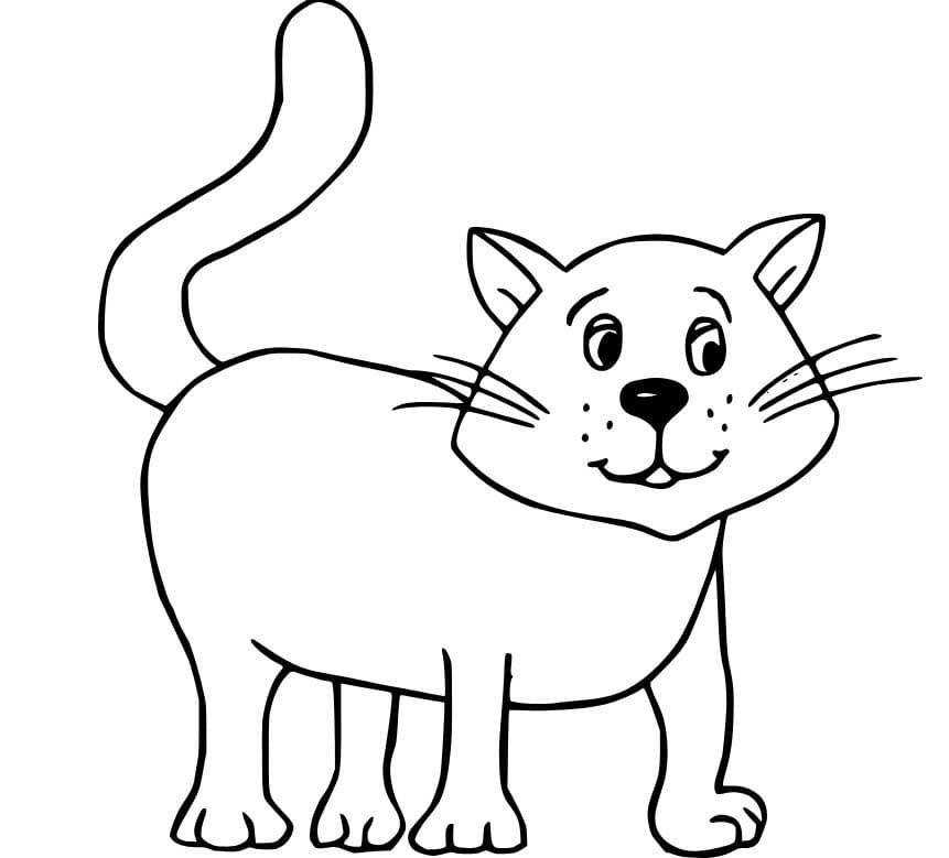Gato 5 para colorir
