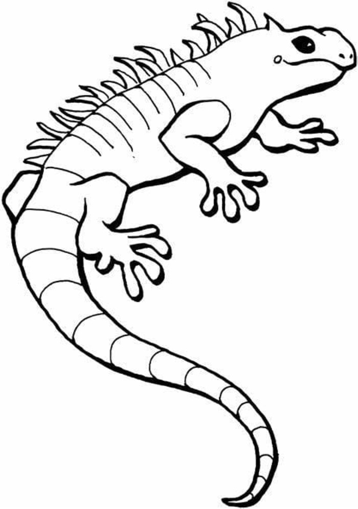 Imagem Lagartos impressão grátis para colorir