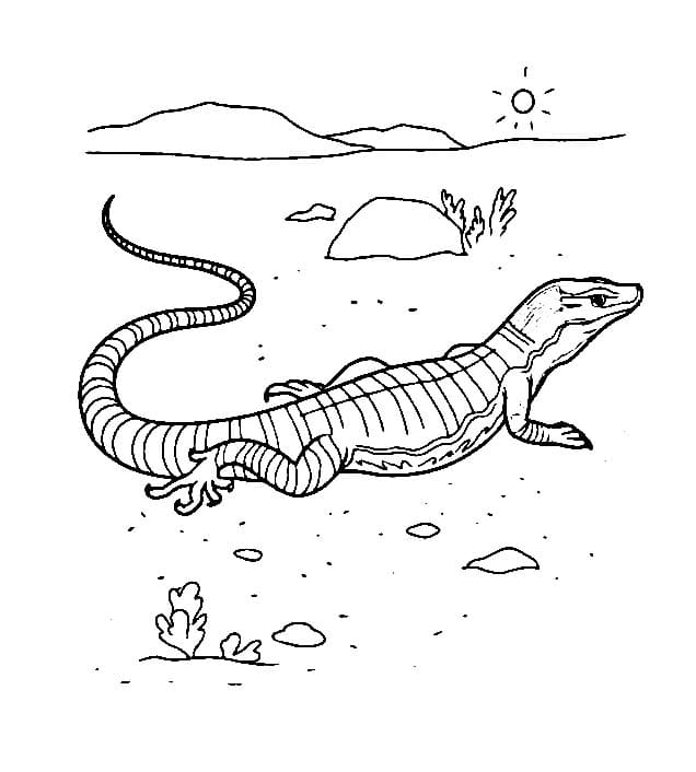 Lagartos básico para colorir