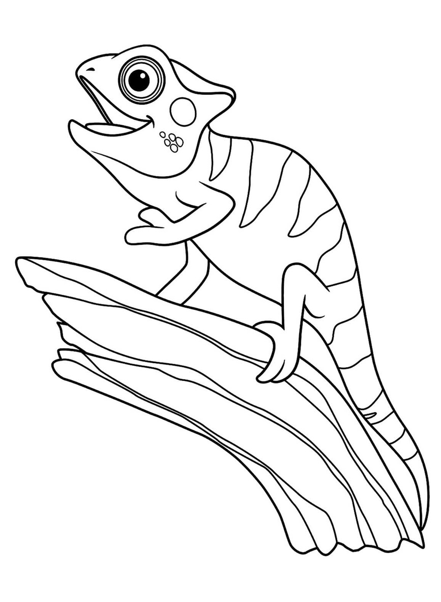 Lagartos bem simples para colorir