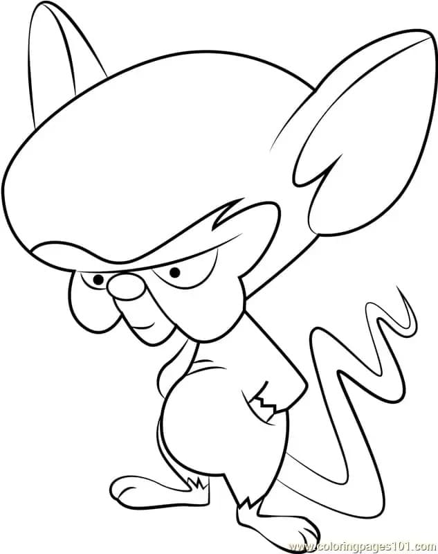 Desenhos de Pinky e Cérebro 3 para colorir