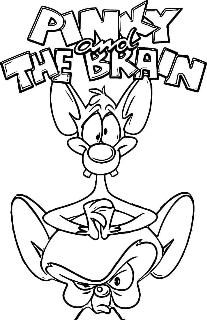 Desenhos de Pinky e Cérebro 5 para colorir