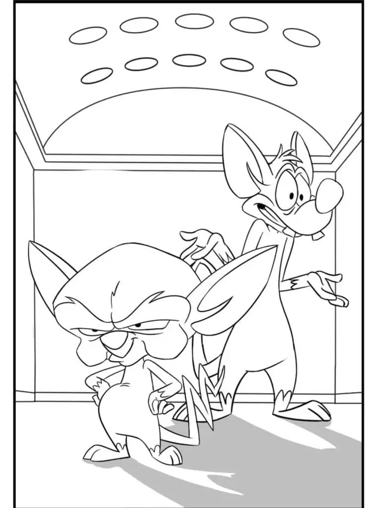 Desenhos de Pinky e Cérebro básico para colorir