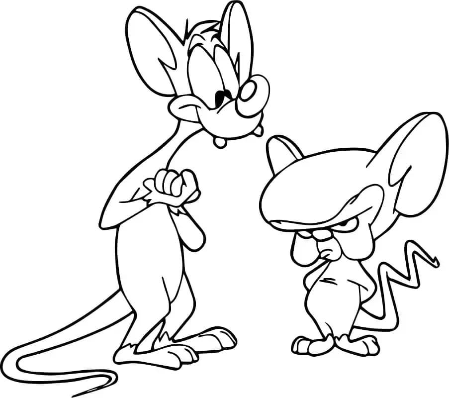 Desenhos de Pinky e Cérebro gratuita para colorir
