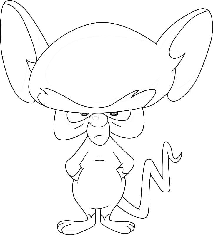 Desenhos de Pinky e Cérebro impressão para colorir