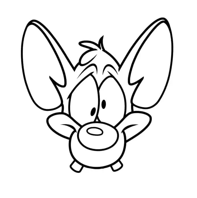 Desenhos de Pinky e Cérebro imprimível para crianças para colorir