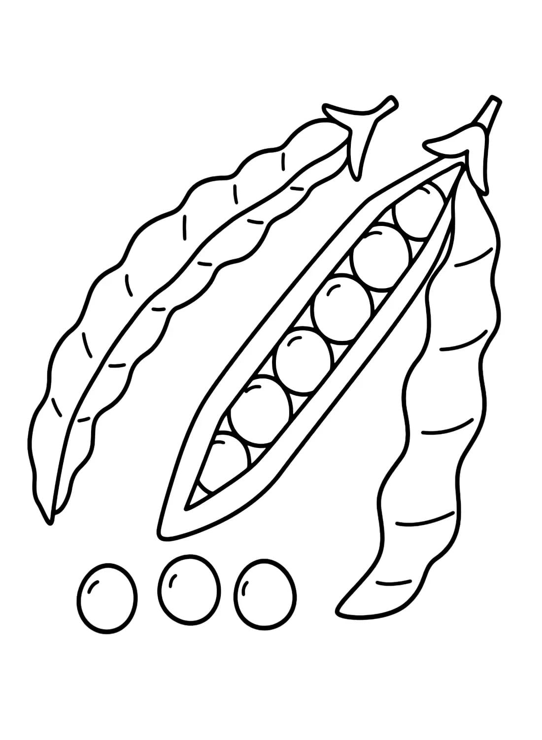 Desenhos de Desenhar Feijão imprimível para colorir