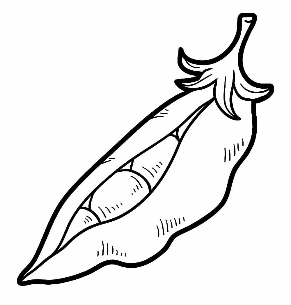 Desenhos de Desenhar Feijão simples em crianças para colorir