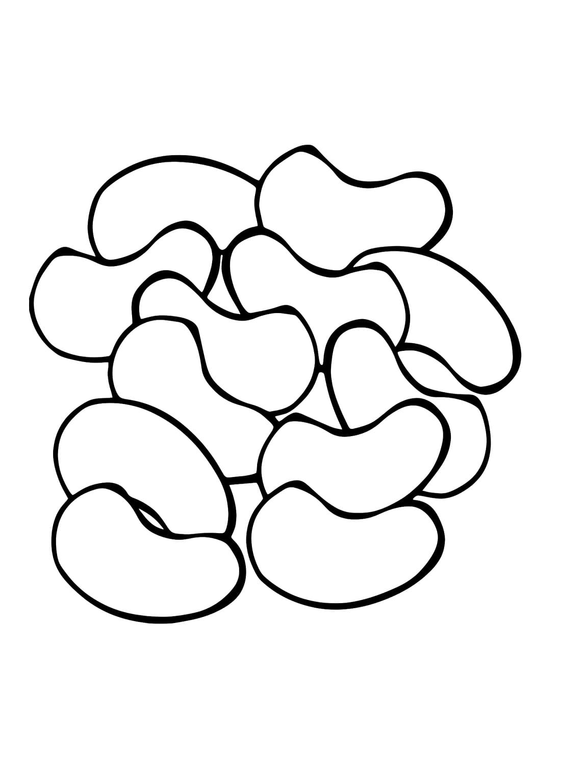 Desenhos de Desenhar Feijão simples para colorir