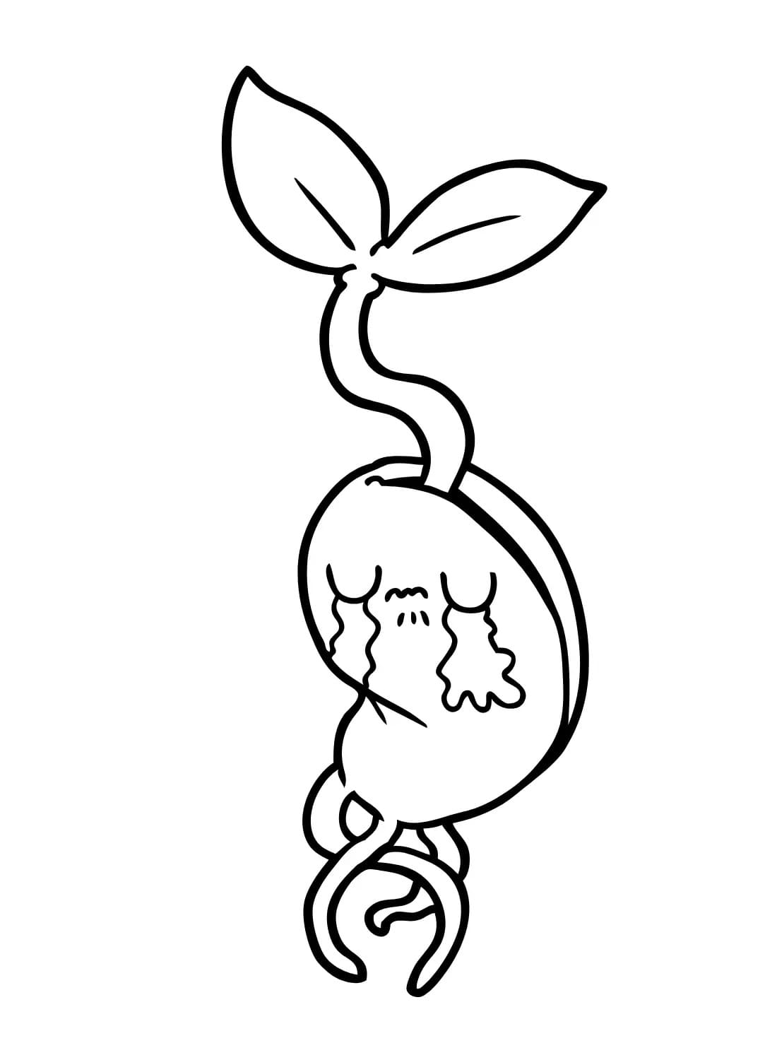 Desenhos de Desenhar Feijão triste para colorir