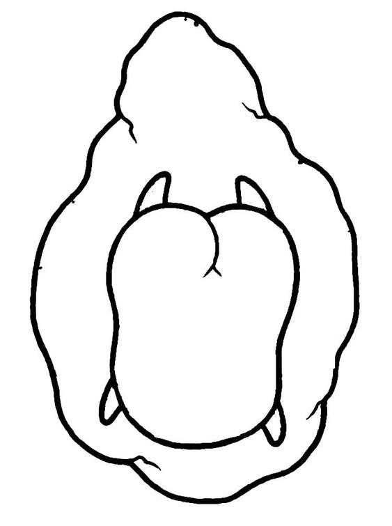 Desenhos de Desenhe Gudetama engraçado imprimir para colorir
