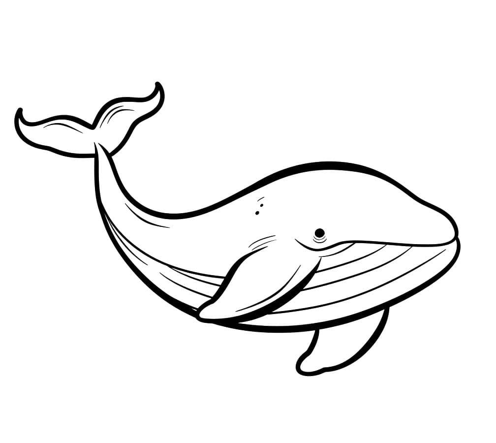 Desenhe Peixe impressão gratuita para colorir