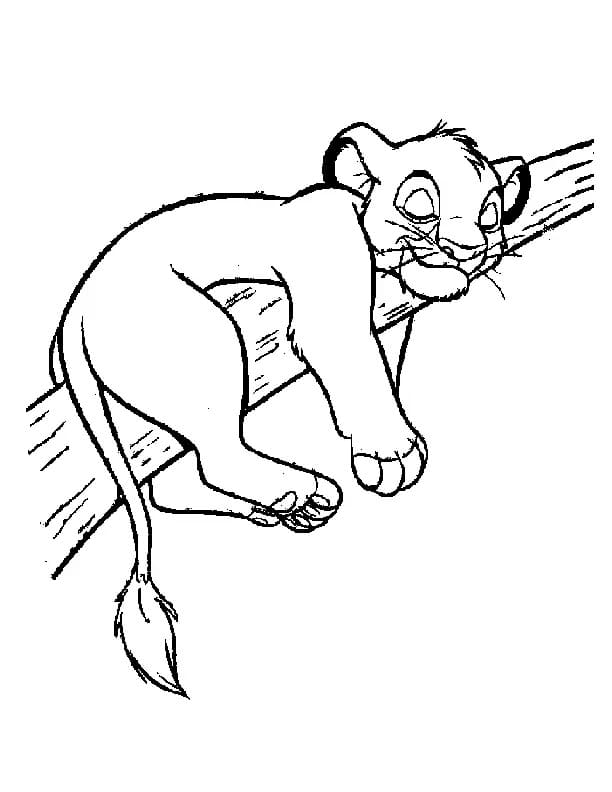 Desenhos de Desenhe Simba Dormindo para colorir