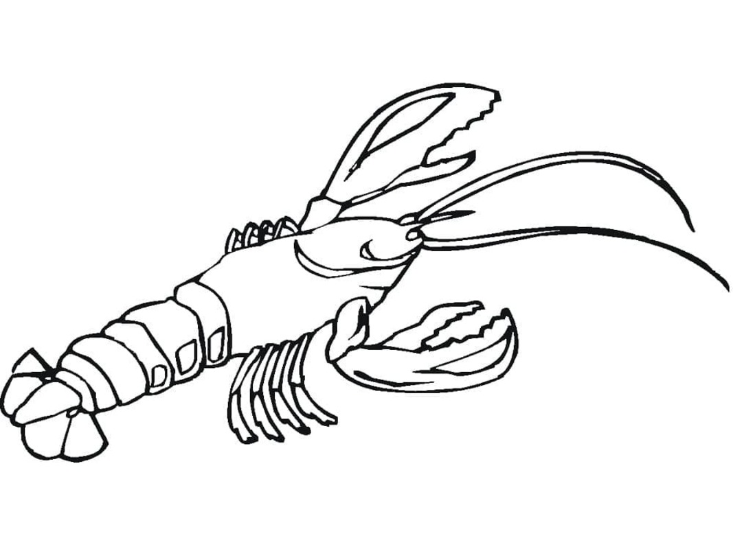 Desenhos de Desenho Lagosta básico em crianças para colorir