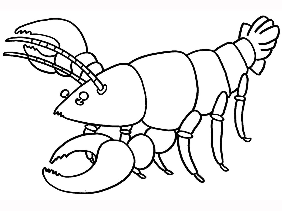Desenhos de Desenho Lagosta em crianças para colorir