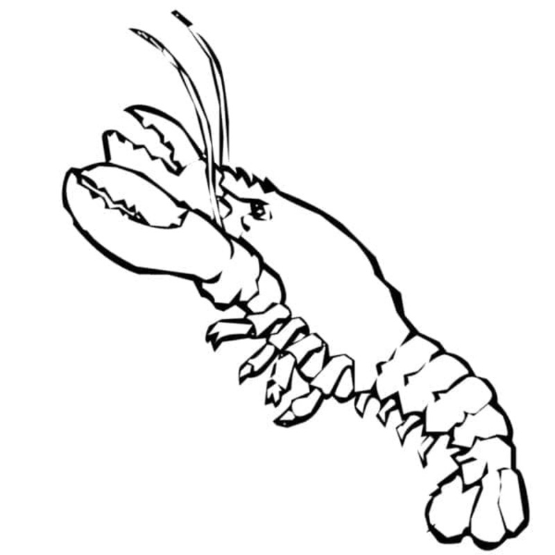 Desenhos de Desenho Lagosta fácil em crianças para colorir