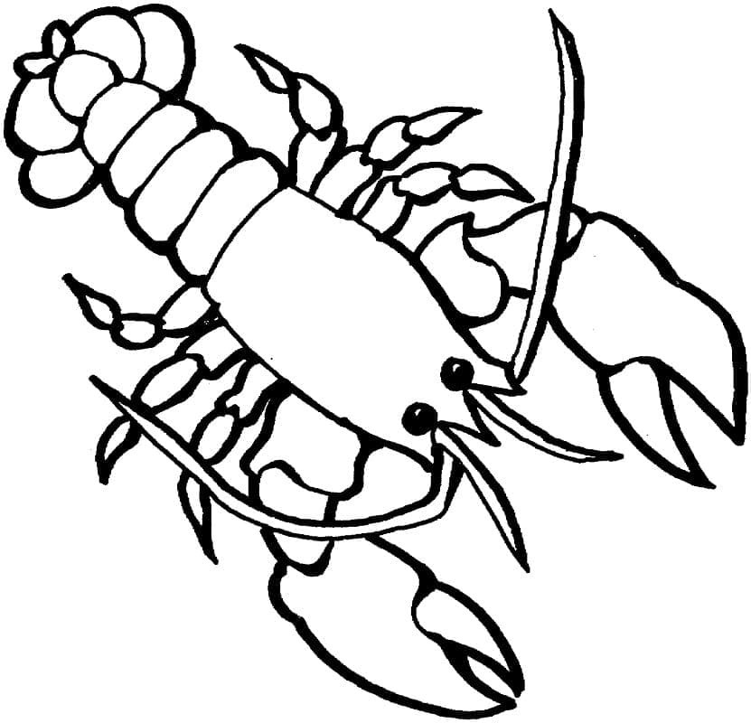 Desenhos de Desenho Lagosta grátis para crianças para colorir