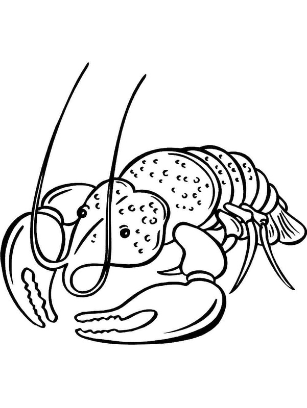 Desenhos de Desenho Lagosta muito básico para colorir