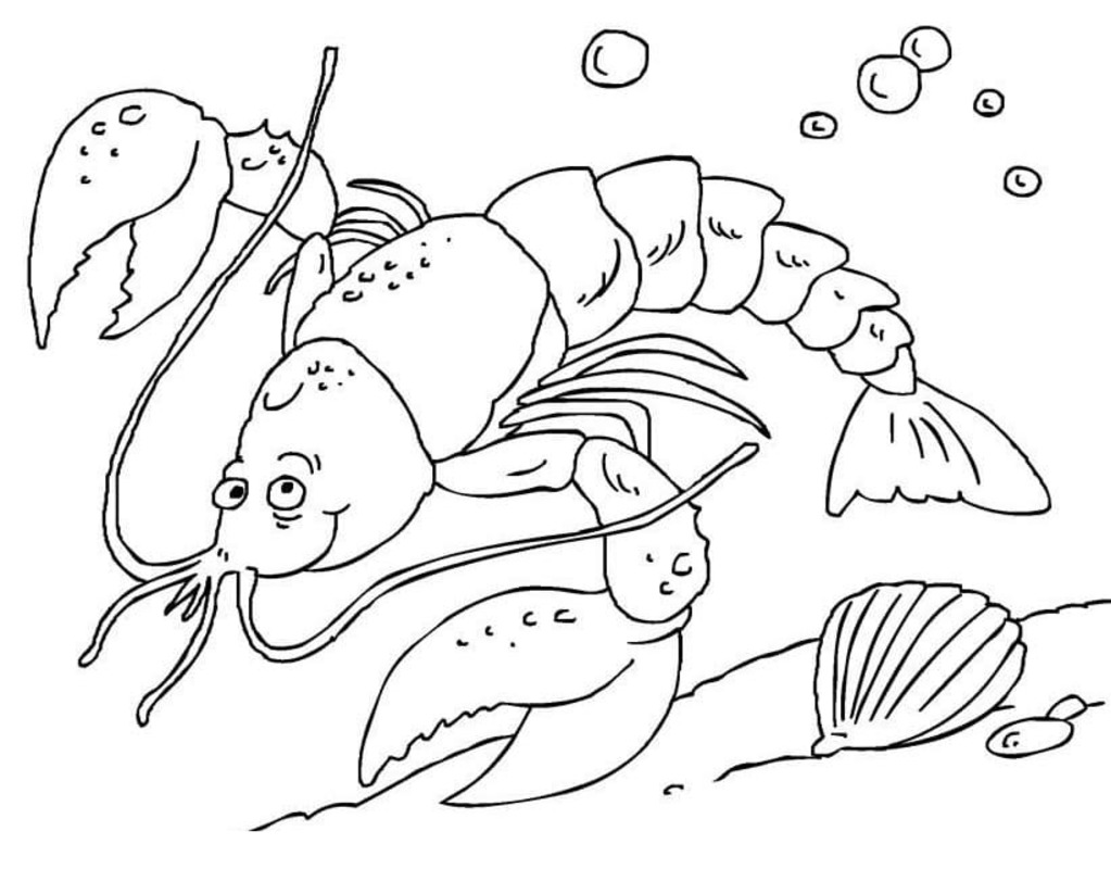Desenhos de Desenho Lagosta para crianças para colorir