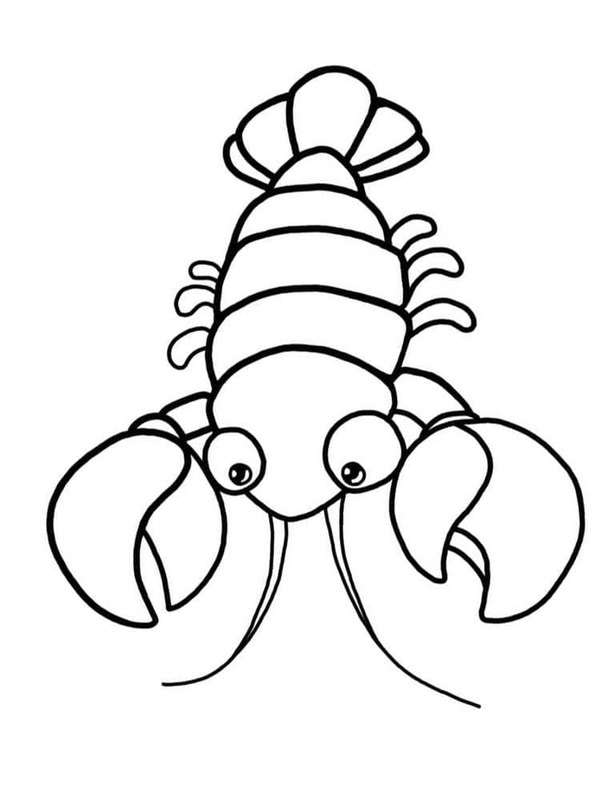 Desenhos de Desenho Lagosta simples para colorir