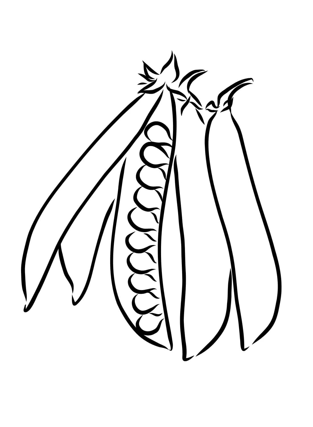 Desenhos de Feijão básico em crianças para colorir