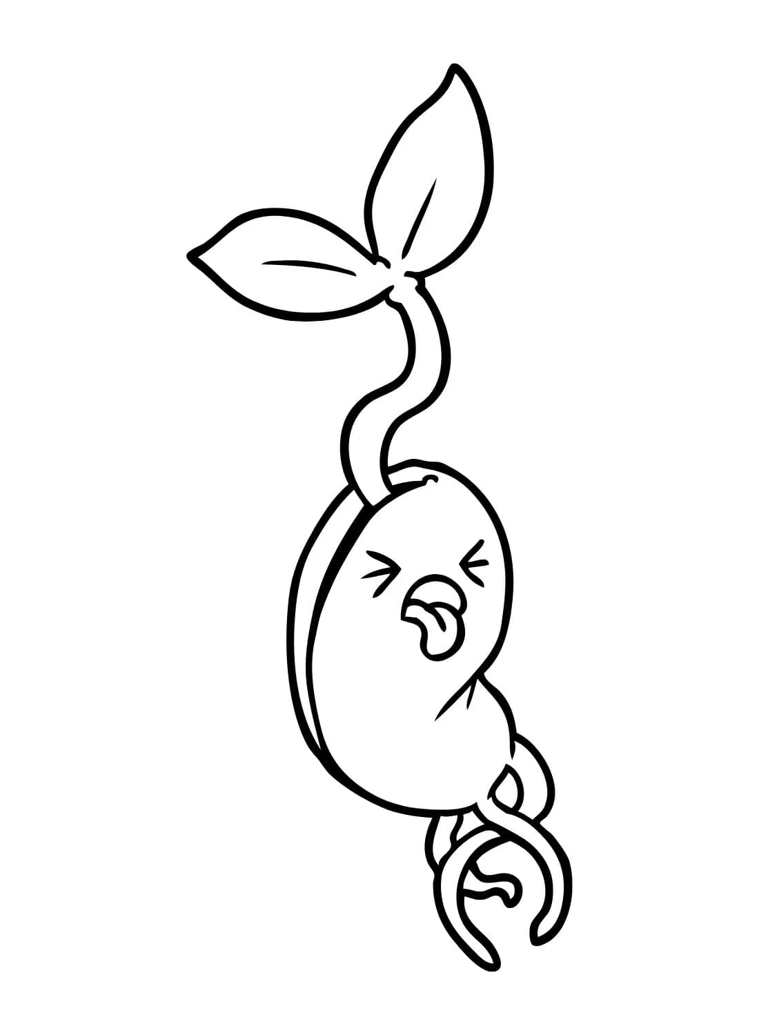 Desenhos de Feijão bonitinho para colorir