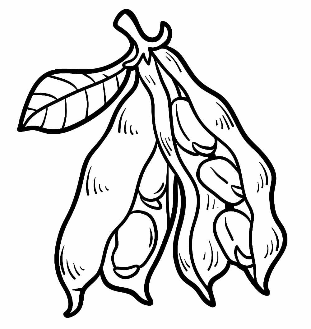 Desenhos de Feijão simples em crianças para colorir