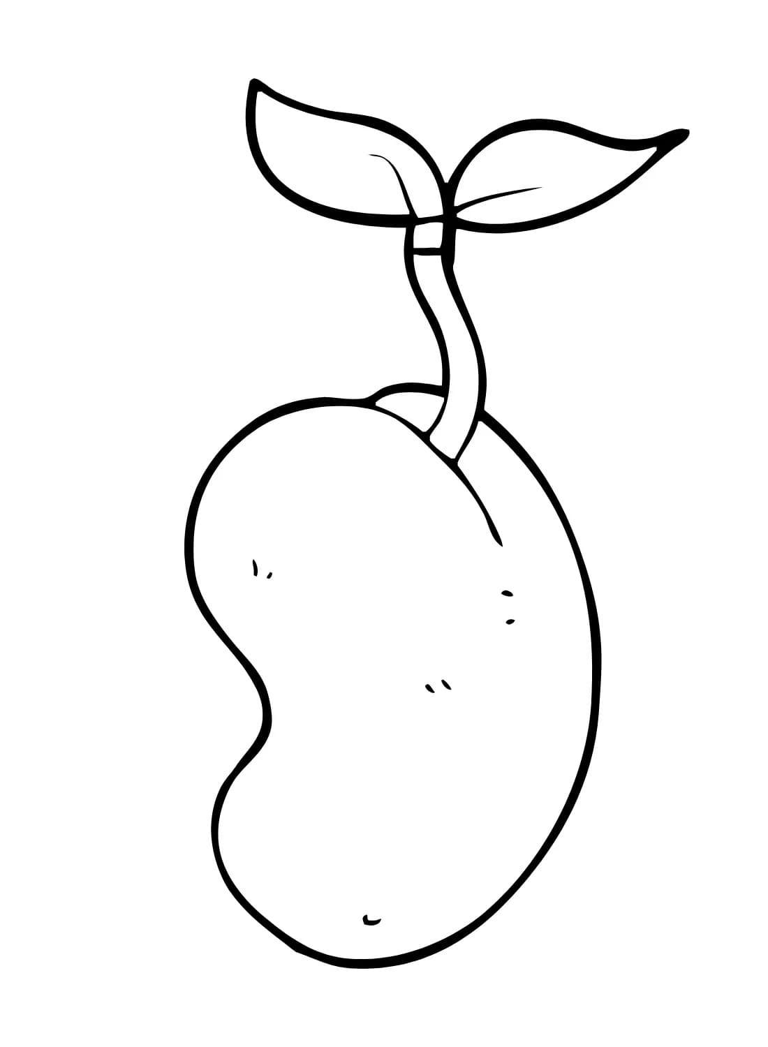 Desenhos de Feijão simples para colorir